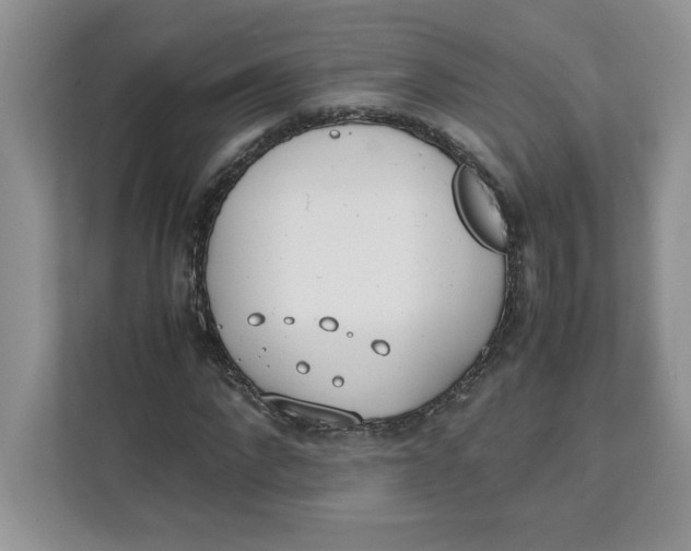 X0000111490872200908041140
