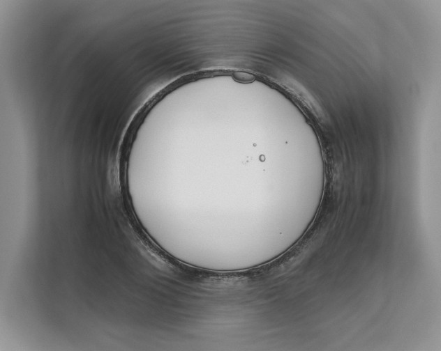 X0000111490884200908041140
