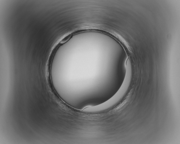 X0000111490885200908041140