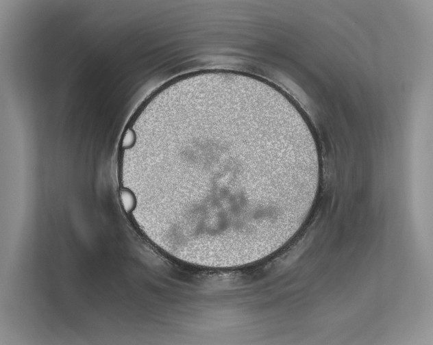 X0000111490891200908041140