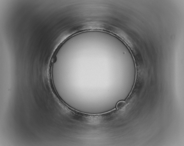 X0000111490893200908041140