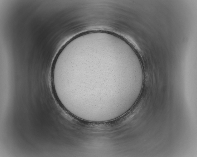 X0000111490895200908041140