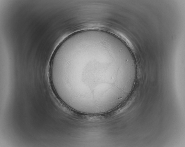 X0000111490899200908041140