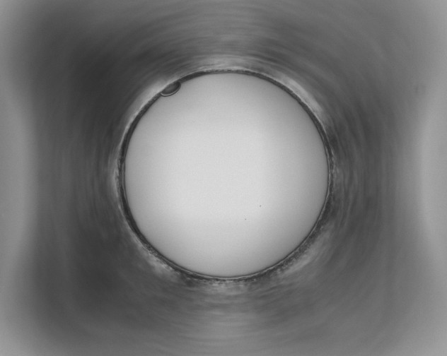 X0000111490901200908041140