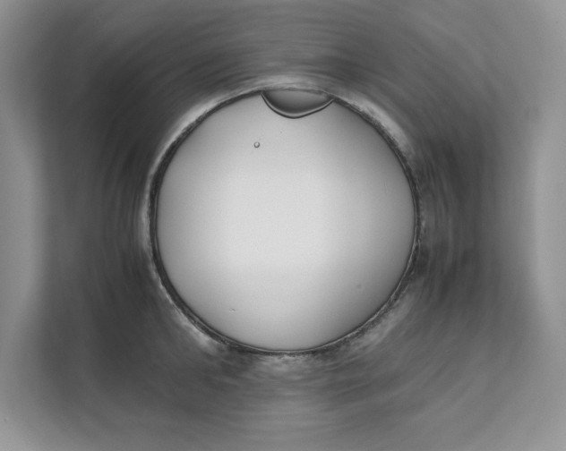 X0000111490902200908041140