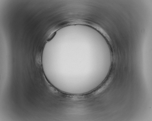 X0000111490905200908041140