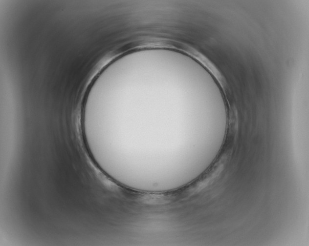 X0000111490909200908041139