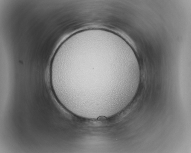 X0000111490911200908041139