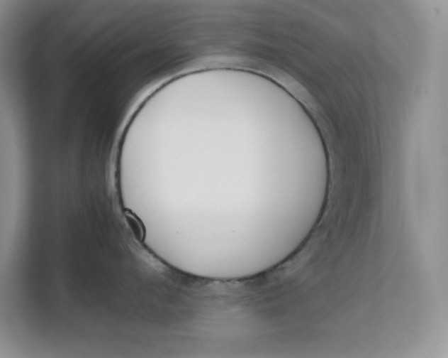 X0000111490912200908041139