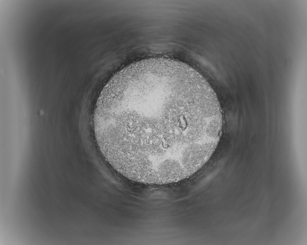 X0000111490913200908041139