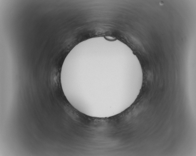 X0000111490914200908041139