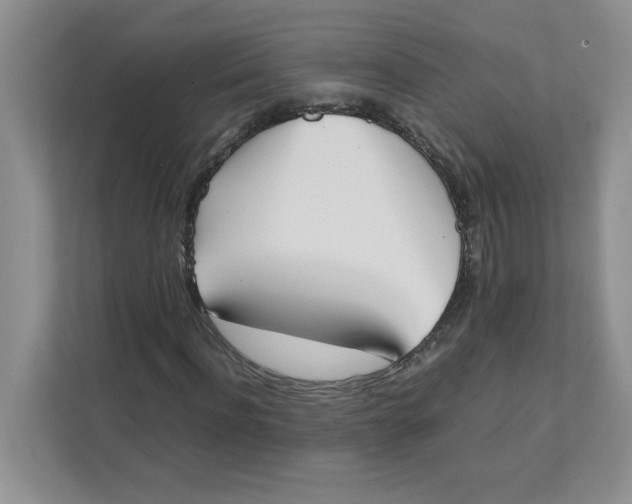 X0000111490916200908041139