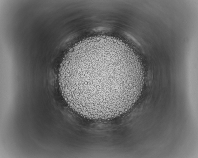 X0000111490917200908041139