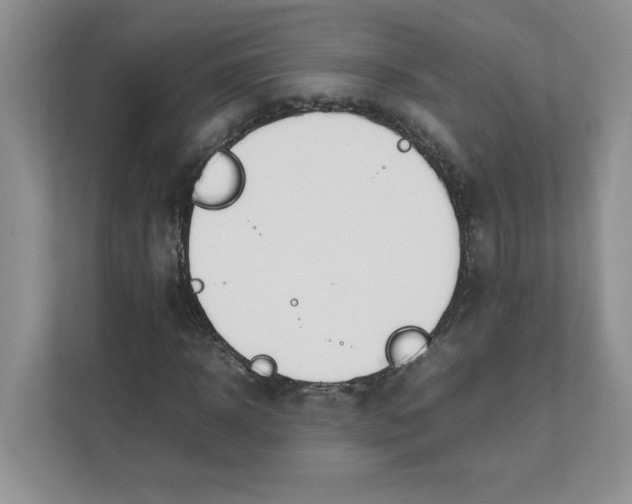 X0000111490918200908041139