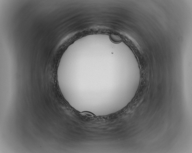 X0000111490919200908041139