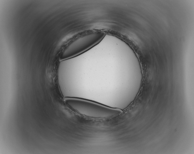 X0000111490920200908041139