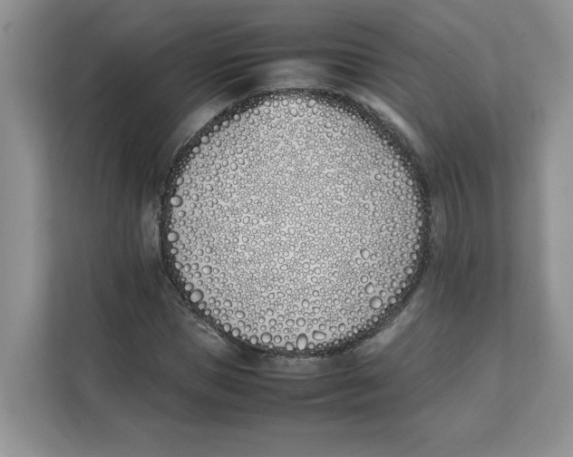 X0000111490921200908041139