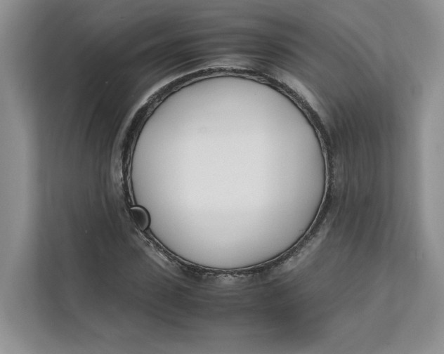 X0000111490923200908041139