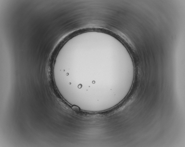 X0000111490926200908041139