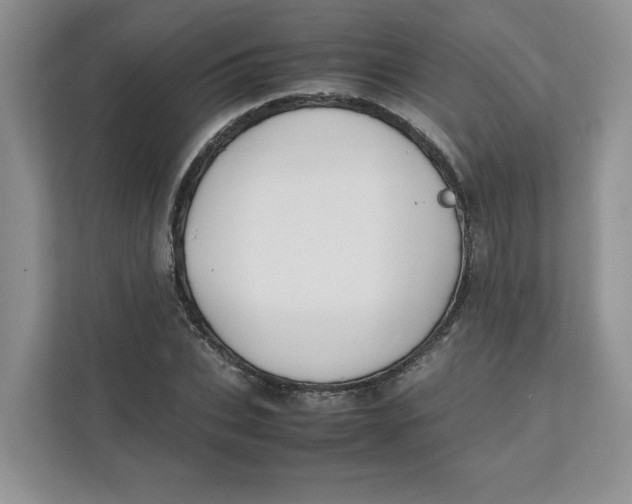 X0000111490927200908041139