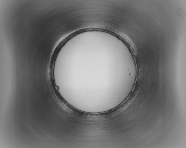 X0000111490928200908041139