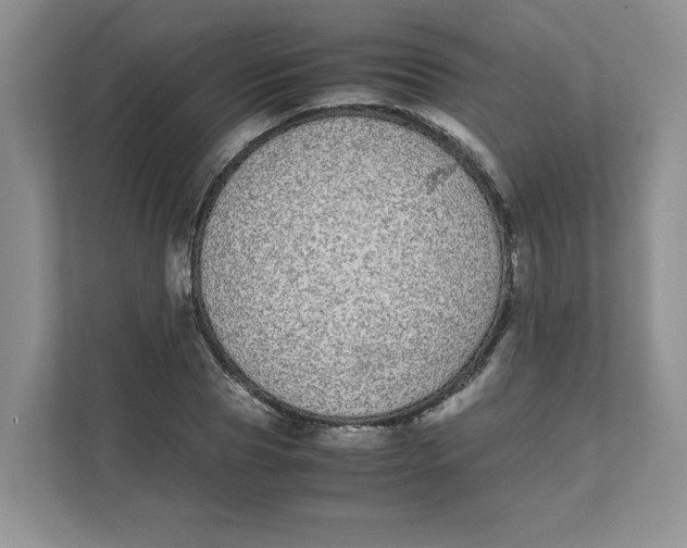 X0000111490929200908041139