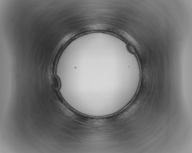 X0000111490930200908041139
