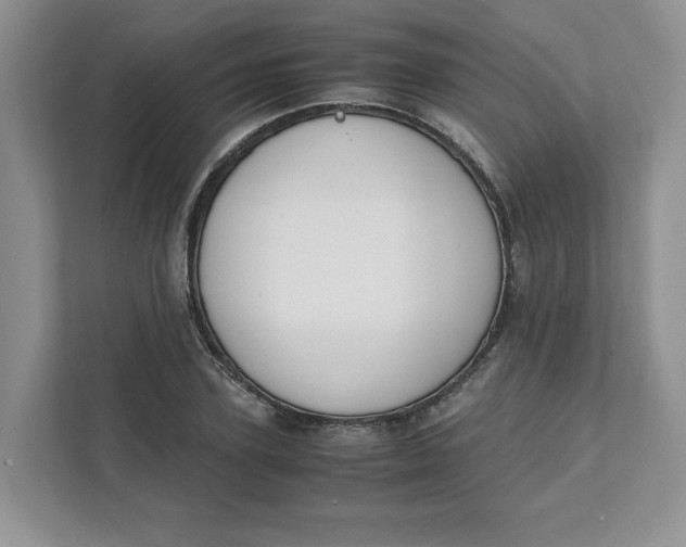 X0000111490931200908041139