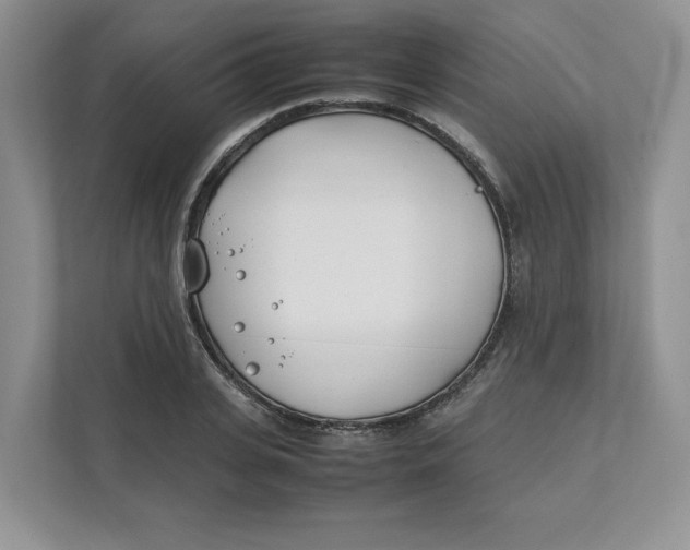 X0000111490935200908041139