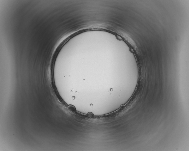 X0000111490936200908041139