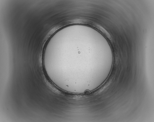 X0000111490938200908041139