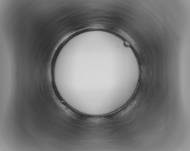 X0000111490939200908041139