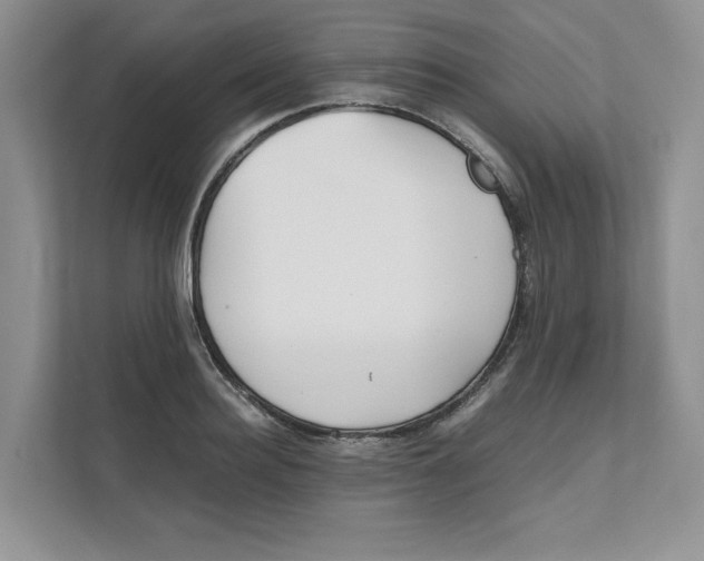 X0000111490940200908041139