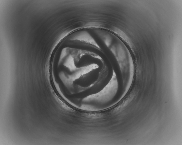 X0000111490941200908041139