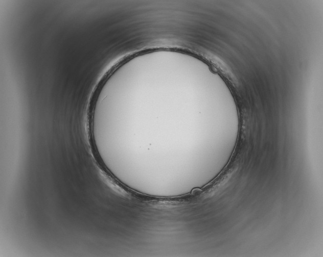 X0000111490942200908041139