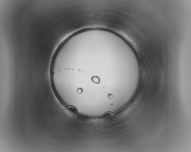 X0000111490943200908041139