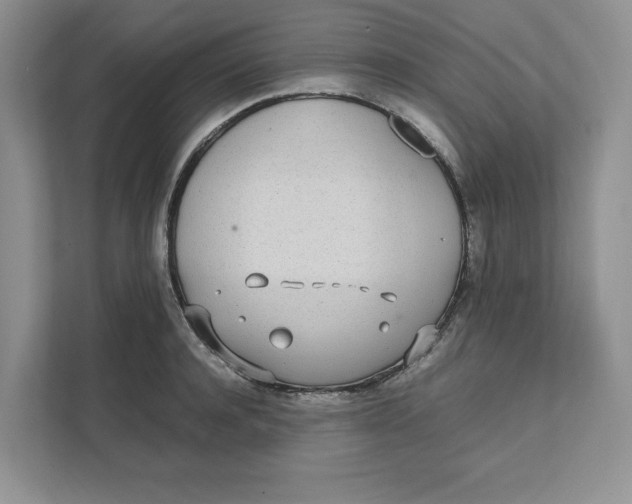 X0000111490944200908041139