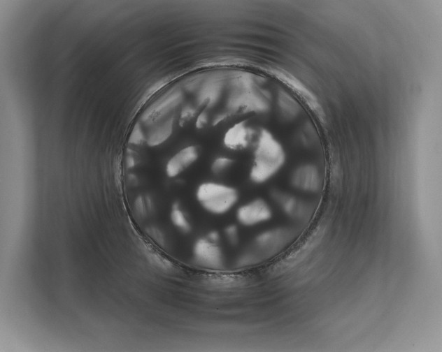 X0000111490945200908041139