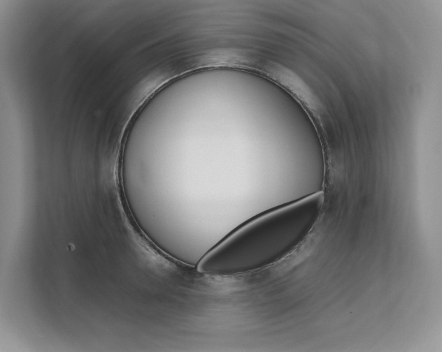 X0000111490946200908041139