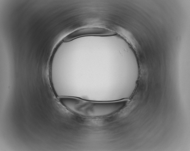 X0000111490952200908041139