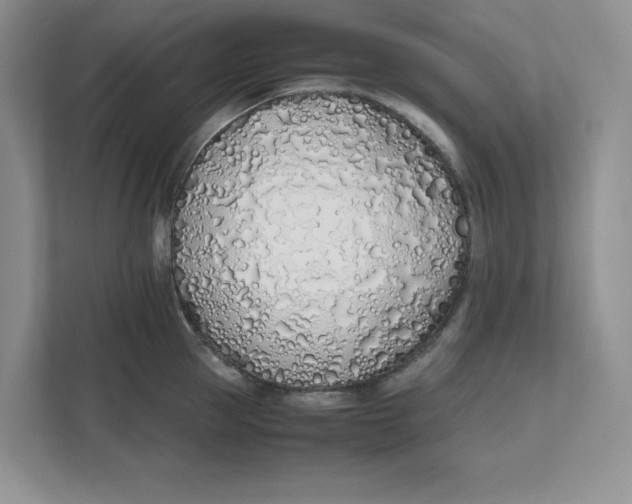 X0000111490953200908041139