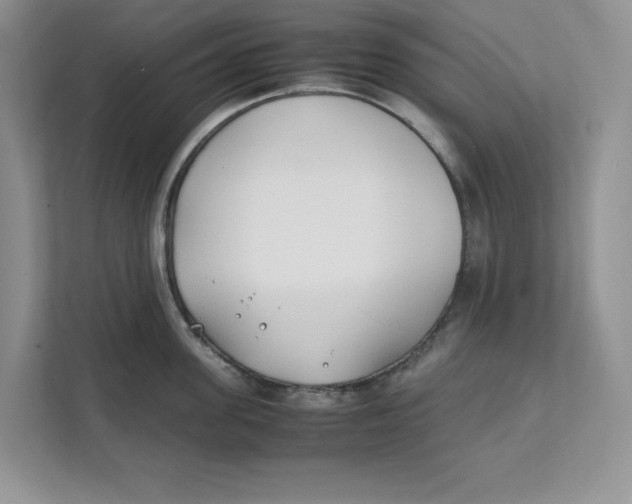X0000111490955200908041139