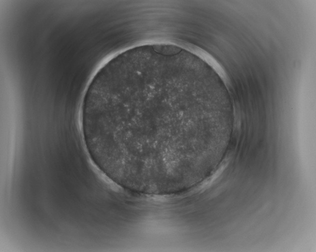 X0000111490958200908041139