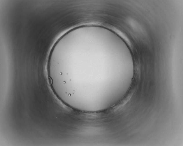 X0000111490959200908041139