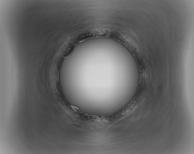 X0000111490961200908041139