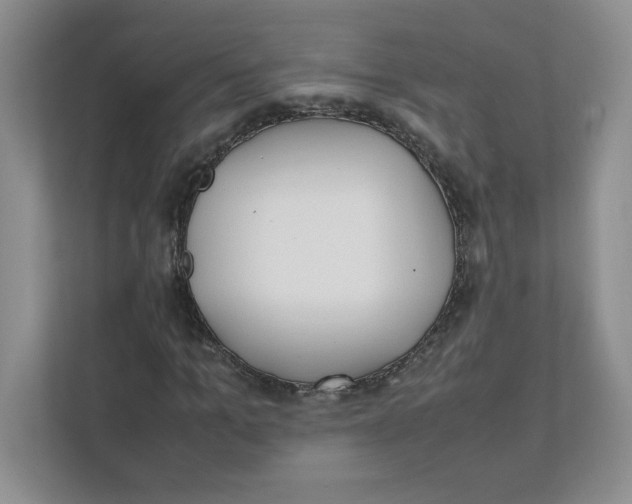 X0000111490965200908041139