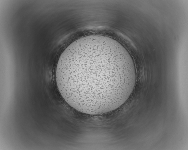X0000111490966200908041139