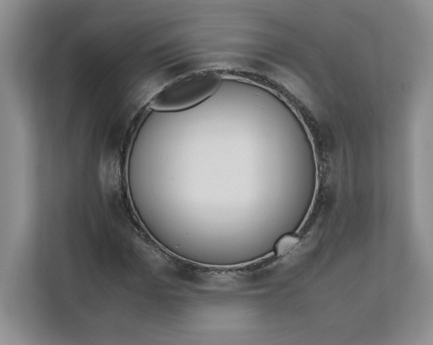 X0000111490969200908041139
