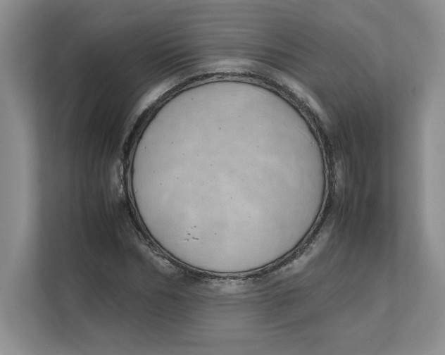 X0000111490970200908041139