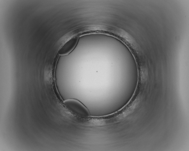 X0000111490977200908041139